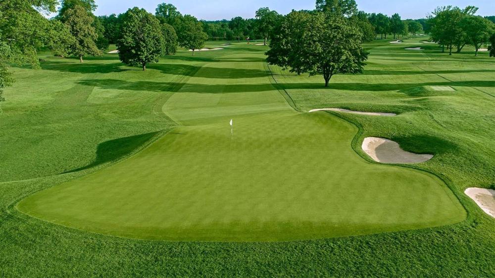 Các khu vực ranh giới trên sân golf như OB, Rough và khu vực phạt