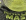 Green-Grey