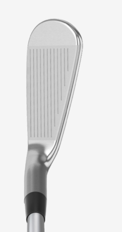 Bộ gậy sắt golf Mizuno  PRO 241 DG 120 S200 (7 gậy)